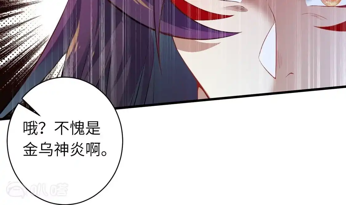 61.jpg