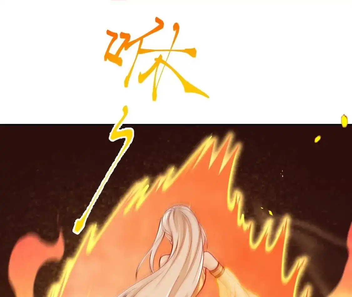113.jpg