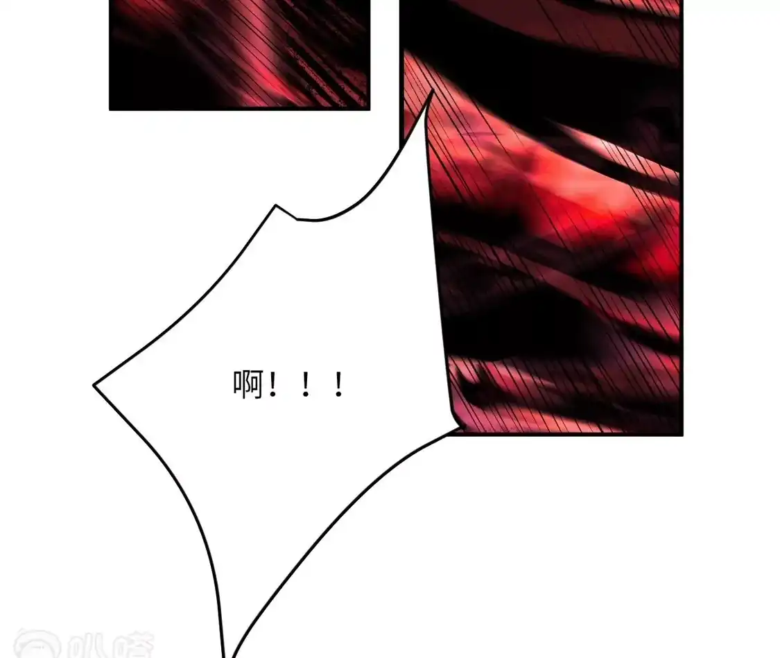 113.jpg