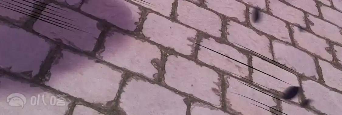 128.jpg