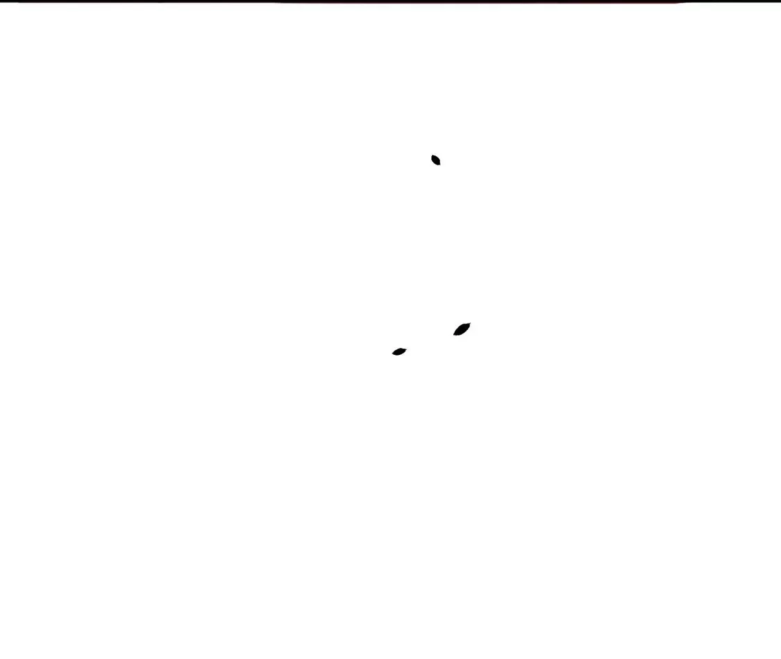 52.jpg