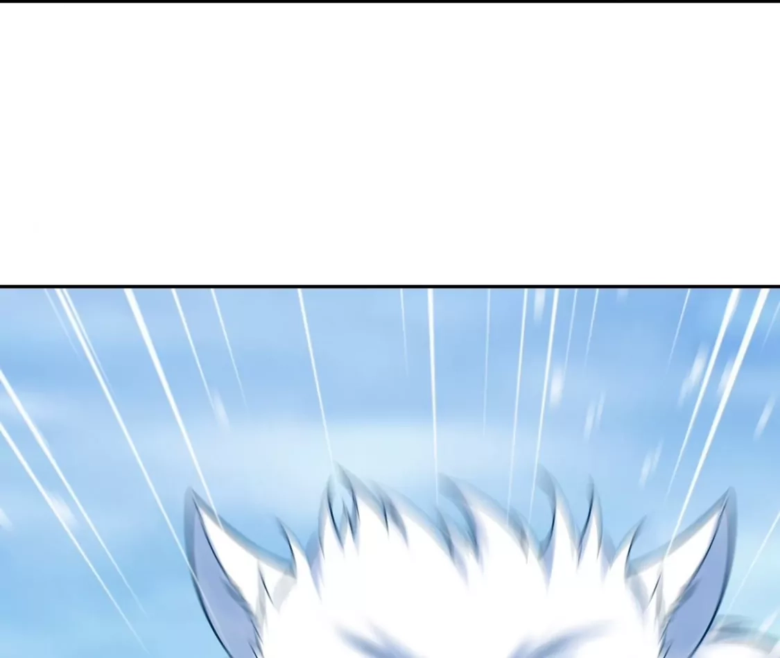 102.jpg