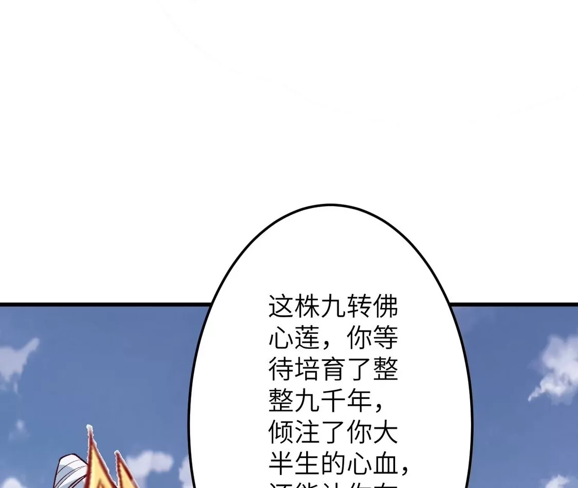 113.jpg