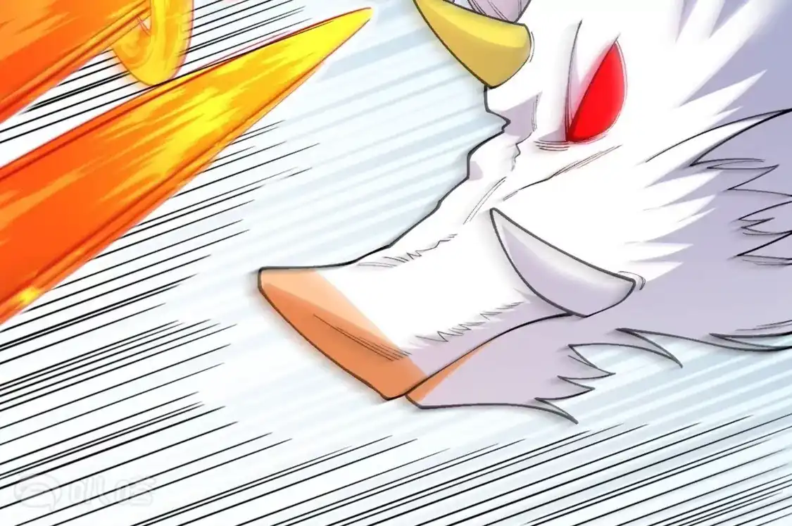 79.jpg