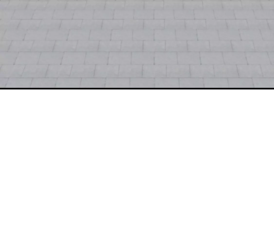 93.jpg