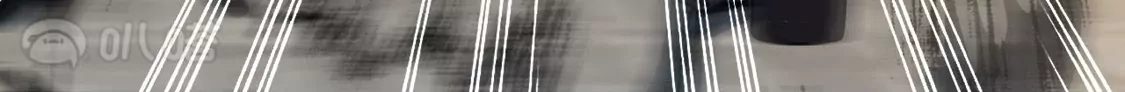 91.jpg