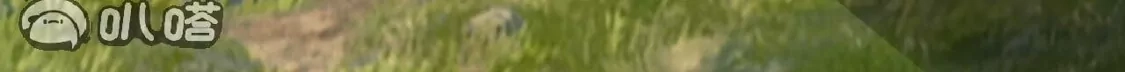 26.jpg