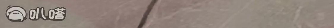 139.jpg