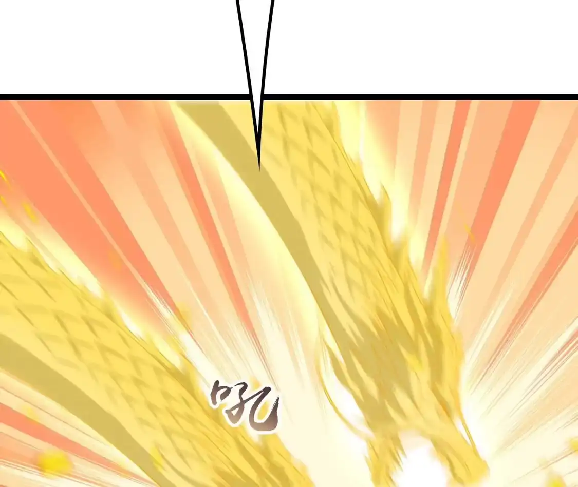 161.jpg