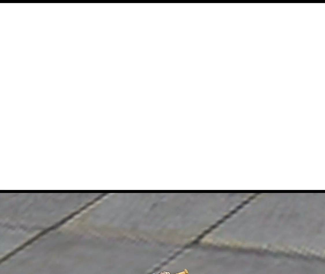 147.jpg
