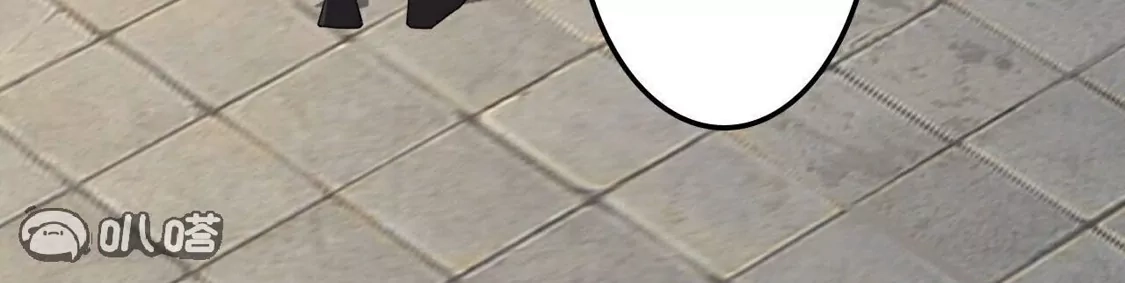 164.jpg