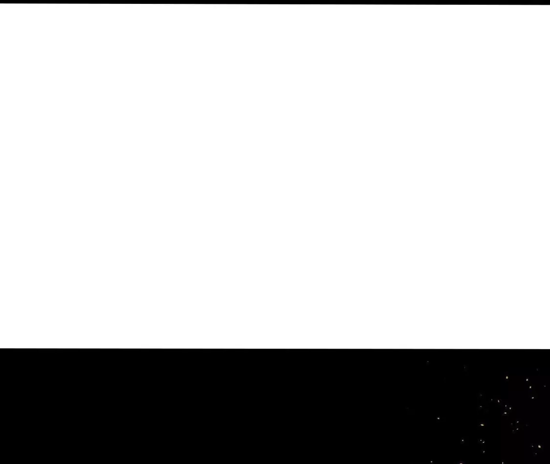 177.jpg