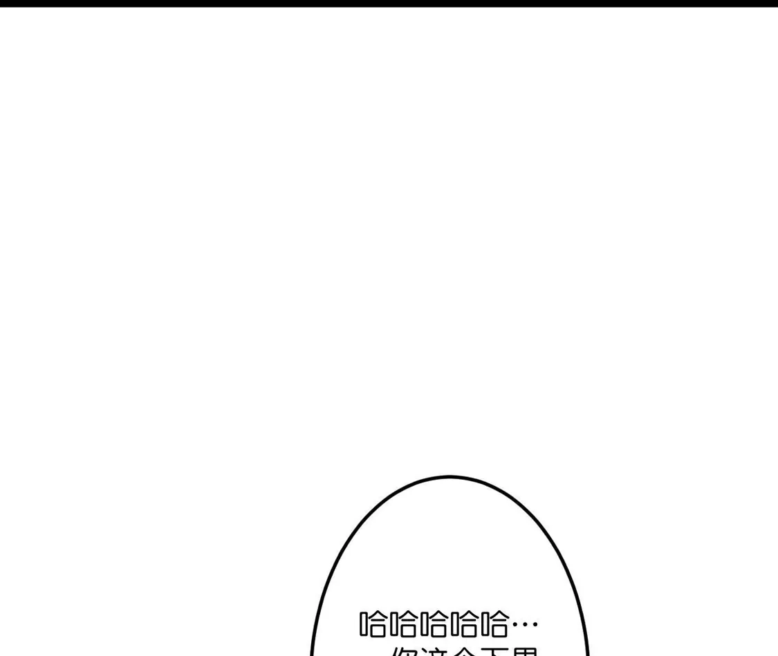 146.jpg