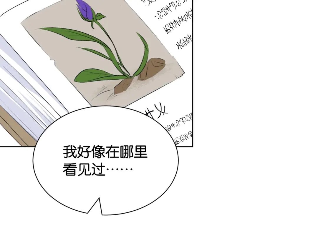 公主殿下满级回归 第33话 坠入结界 第66页