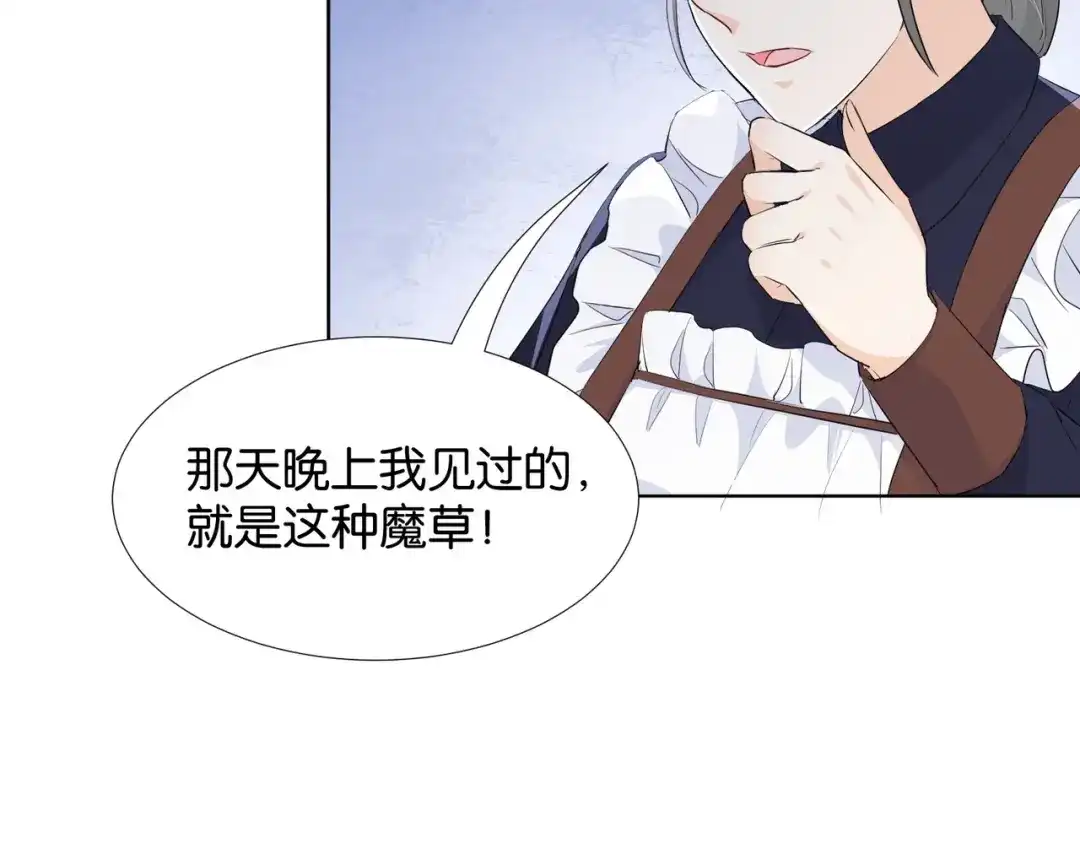 公主殿下满级回归 第33话 坠入结界 第75页