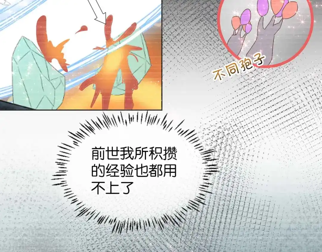 公主殿下满级回归 第63话 最后一关 第80页