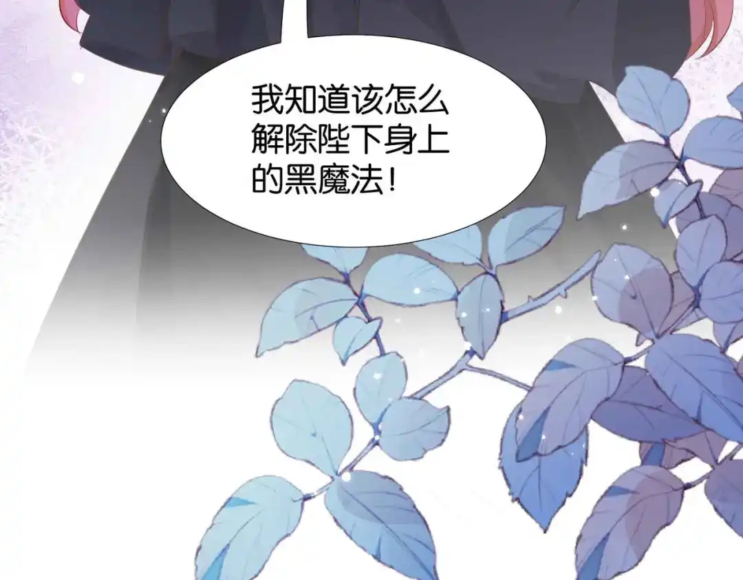 公主殿下满级回归 第65话 新塔主 第151页
