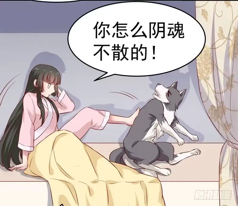 《公主是男人》第010话 强制任务 第2页