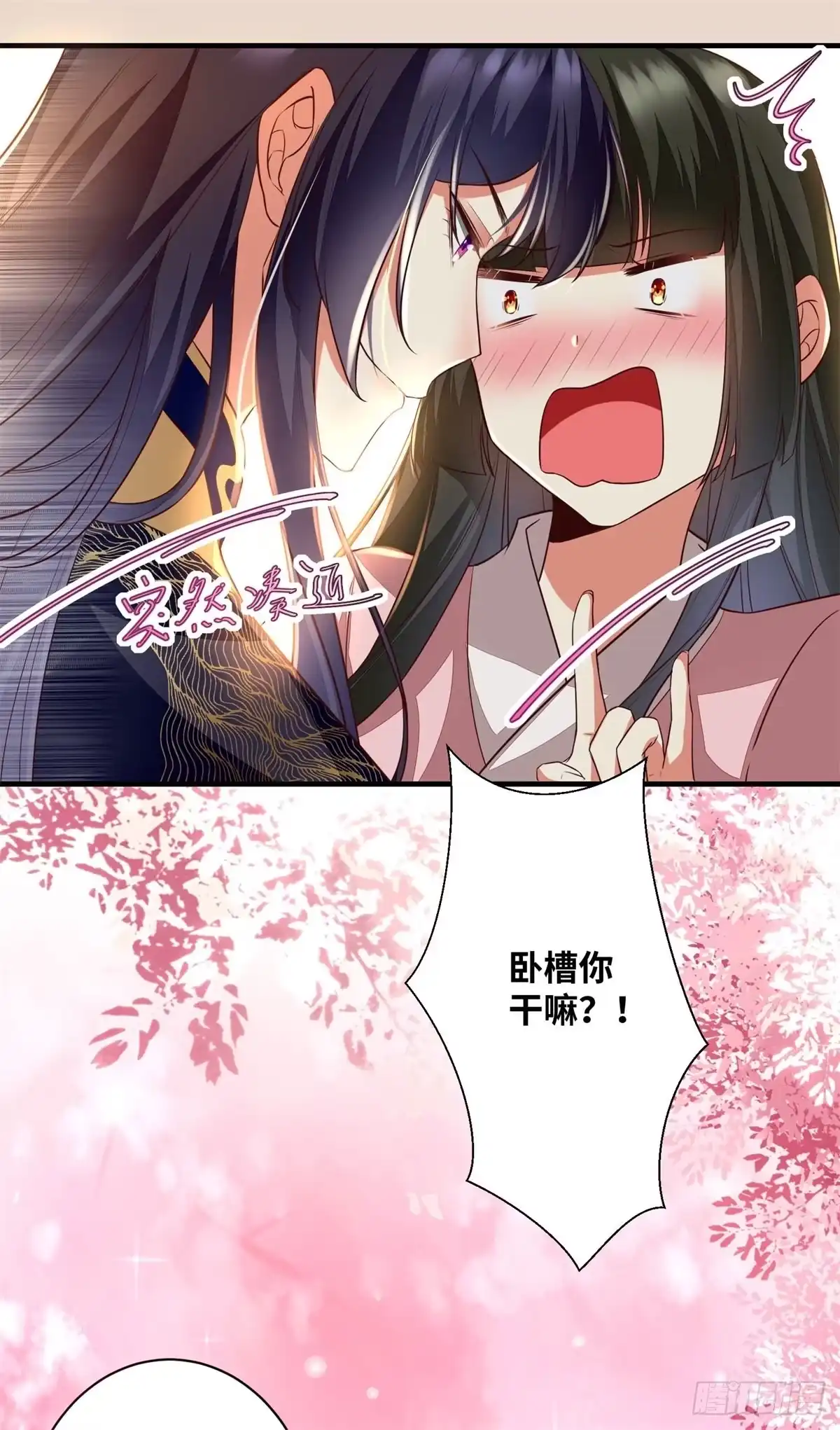 《公主是男人》第190话 轻轻的捧起你的脸 第14页