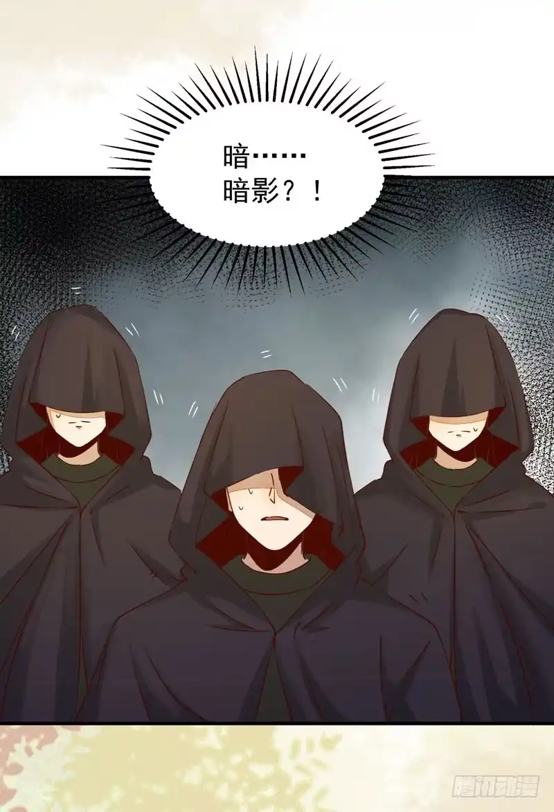 《公主是男人》第34话 暗影令 第7页