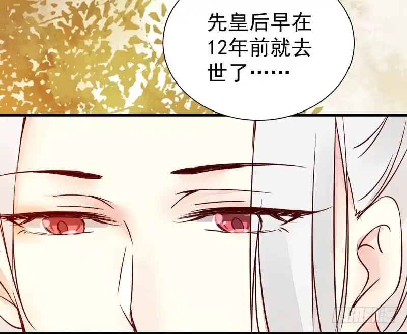 《公主是男人》第37话 诱骗小绿衣下毒 第19页