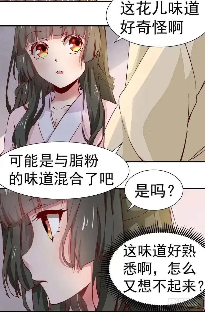 《公主是男人》第005章 梳妆打扮赴宴去 第12页