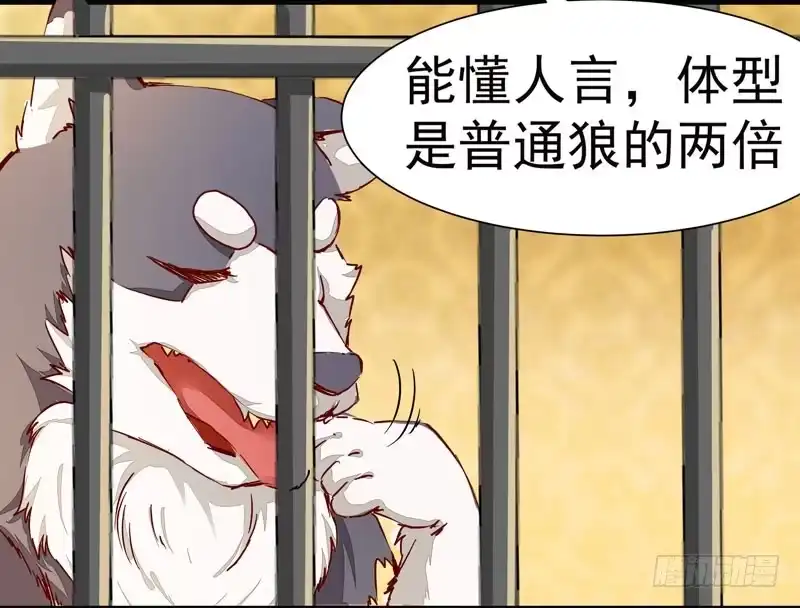 《公主是男人》第006话 狼王竟是哈士奇 第17页