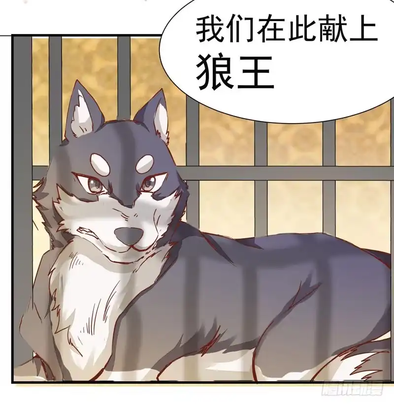 《公主是男人》第006话 狼王竟是哈士奇 第10页