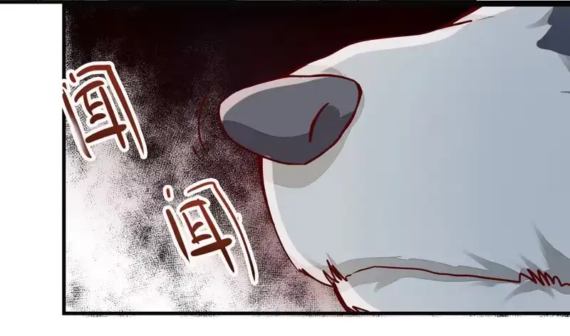 《公主是男人》第006话 狼王竟是哈士奇 第30页