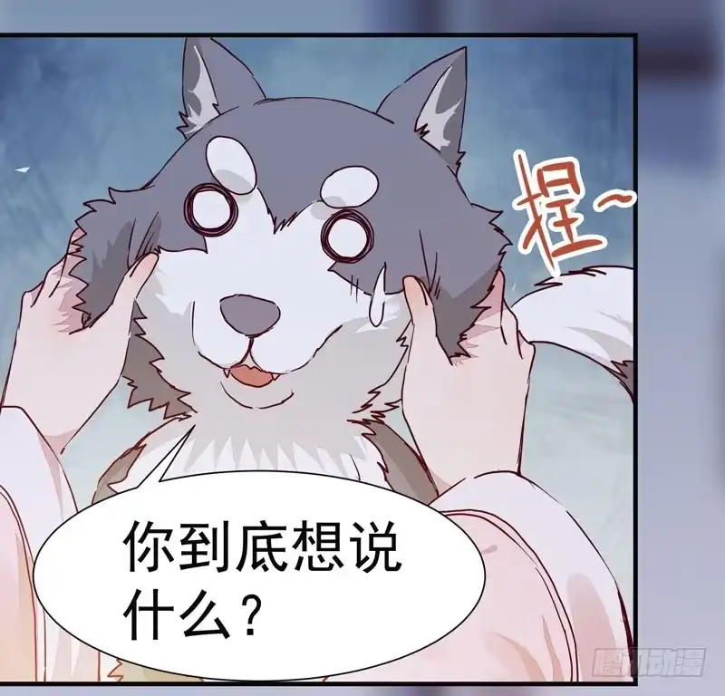 《公主是男人》第008话 和我签订契约吧少女 第19页