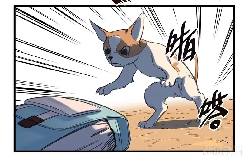 《狗城》隐匿的犬之城 第19页