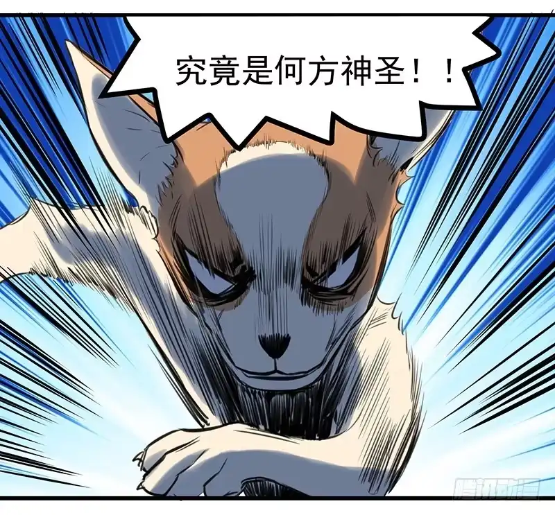 《狗城》隐匿的犬之城 第24页