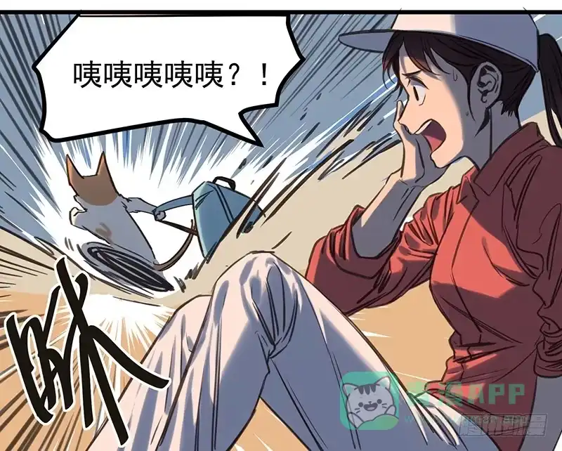 《狗城》隐匿的犬之城 第21页