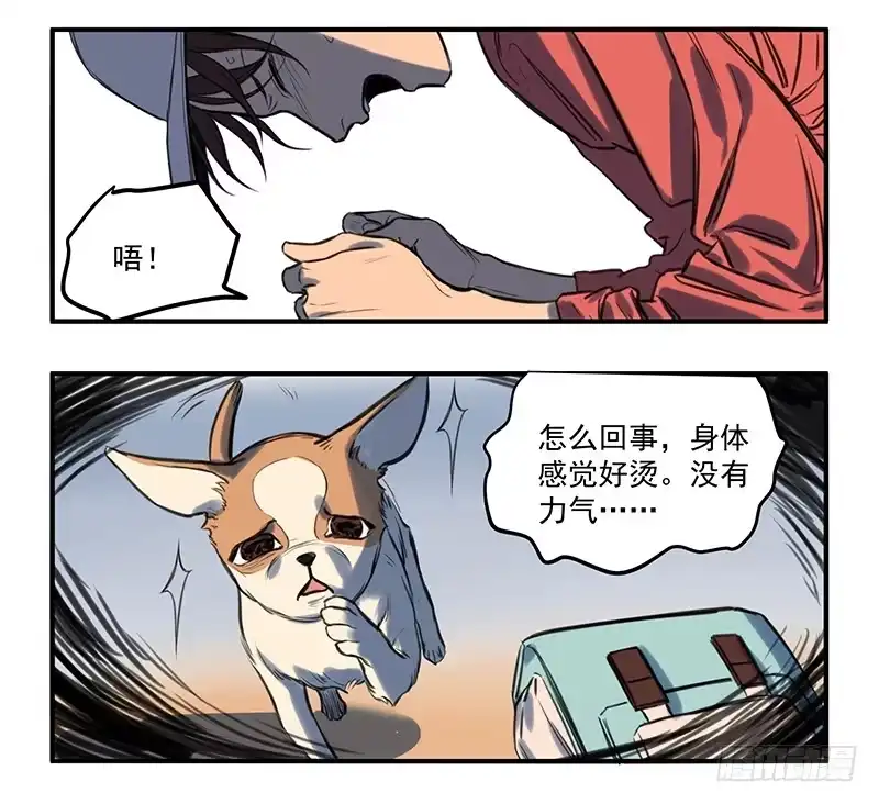 《狗城》隐匿的犬之城 第38页