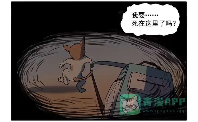《狗城》隐匿的犬之城 第41页