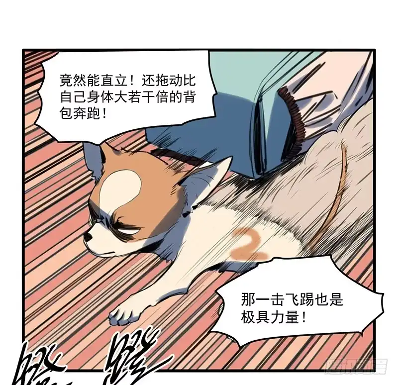 《狗城》隐匿的犬之城 第22页
