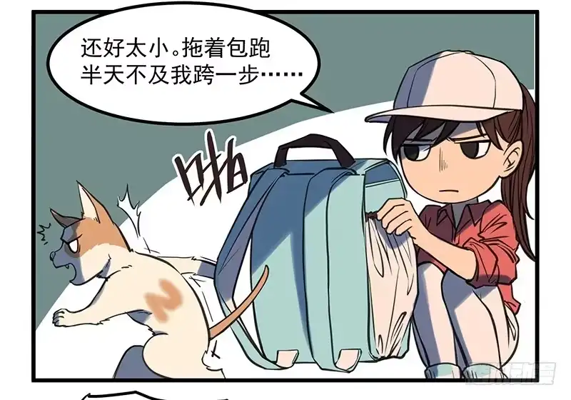《狗城》隐匿的犬之城 第27页