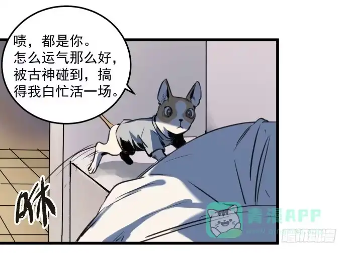 《狗城》古神与现代神大决斗 第31页