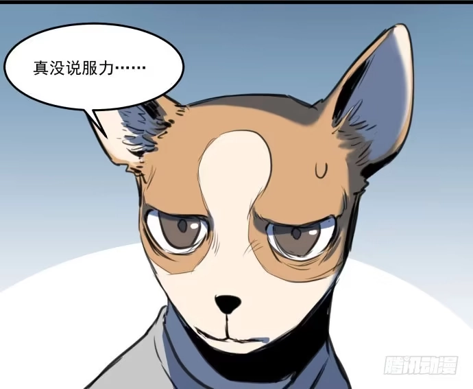 《狗城》她就要变成狗了 第42页