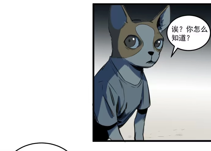 《狗城》她就要变成狗了 第27页