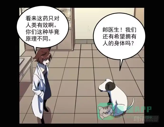 《狗城》她就要变成狗了 第36页