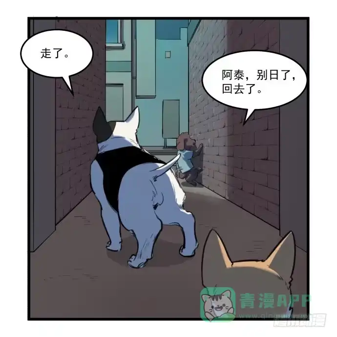 《狗城》她就要变成狗了 第41页