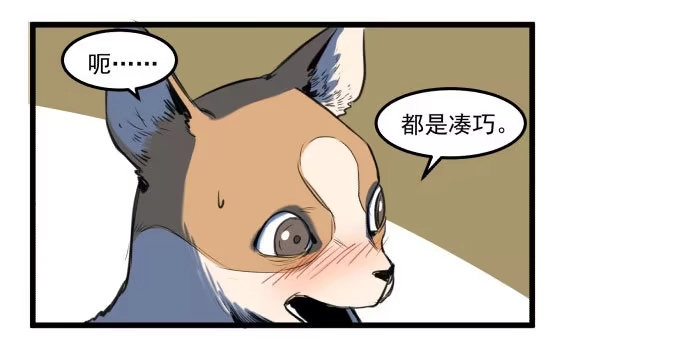 《狗城》她就要变成狗了 第24页