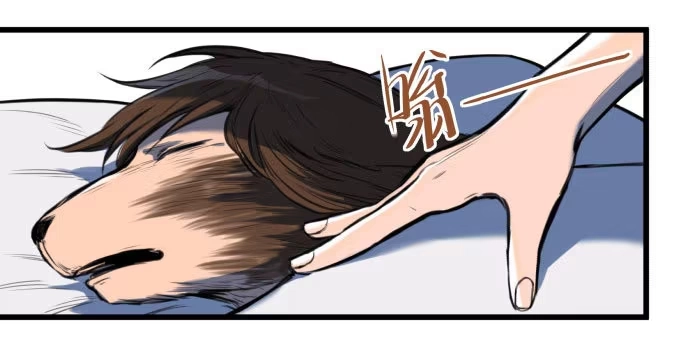 《狗城》梁新凉了？ 第28页