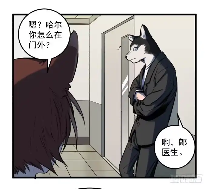 《狗城》梁新凉了？ 第14页