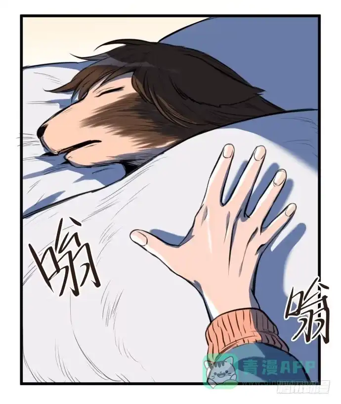 《狗城》梁新凉了？ 第36页