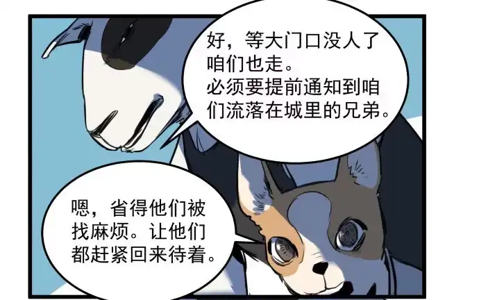 《狗城》成为犬封的一员 第37页