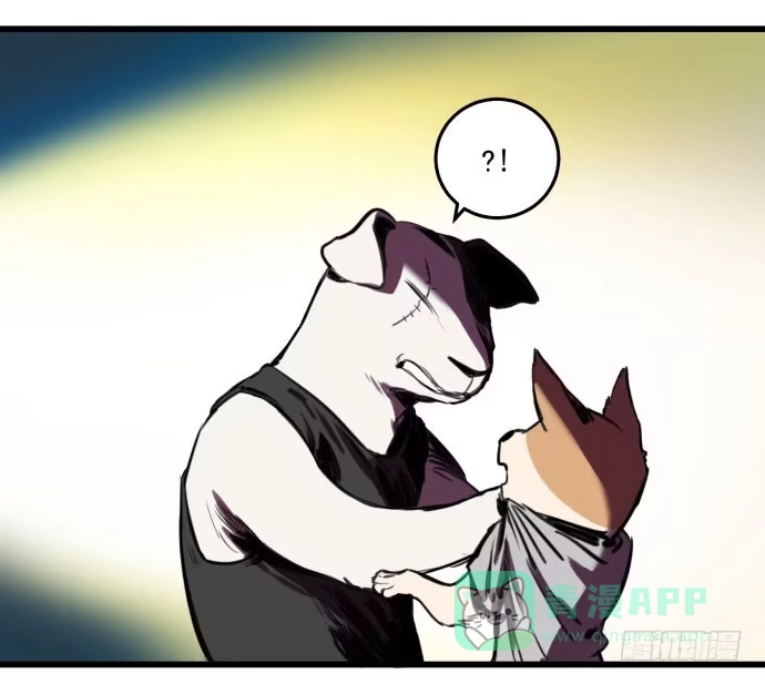 《狗城》成为犬封的一员 第46页