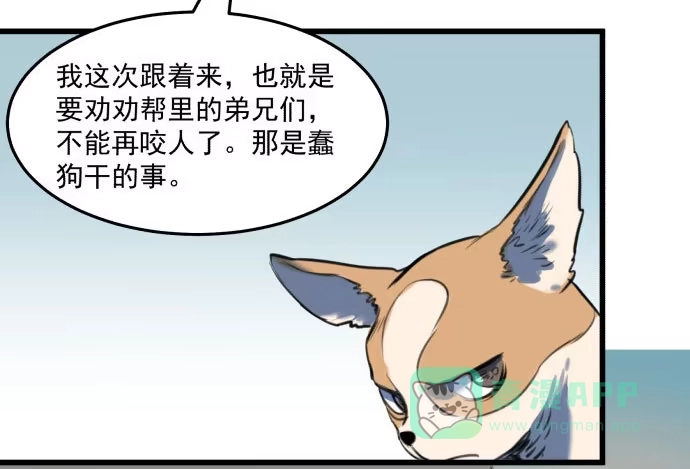 《狗城》文明养犬 遛狗牵绳 第36页