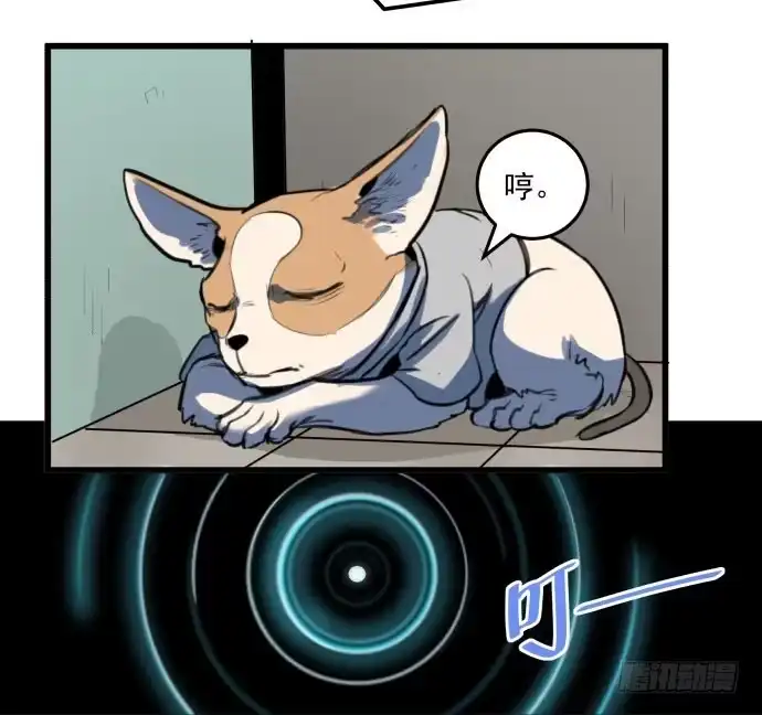 《狗城》文明养犬 遛狗牵绳 第39页